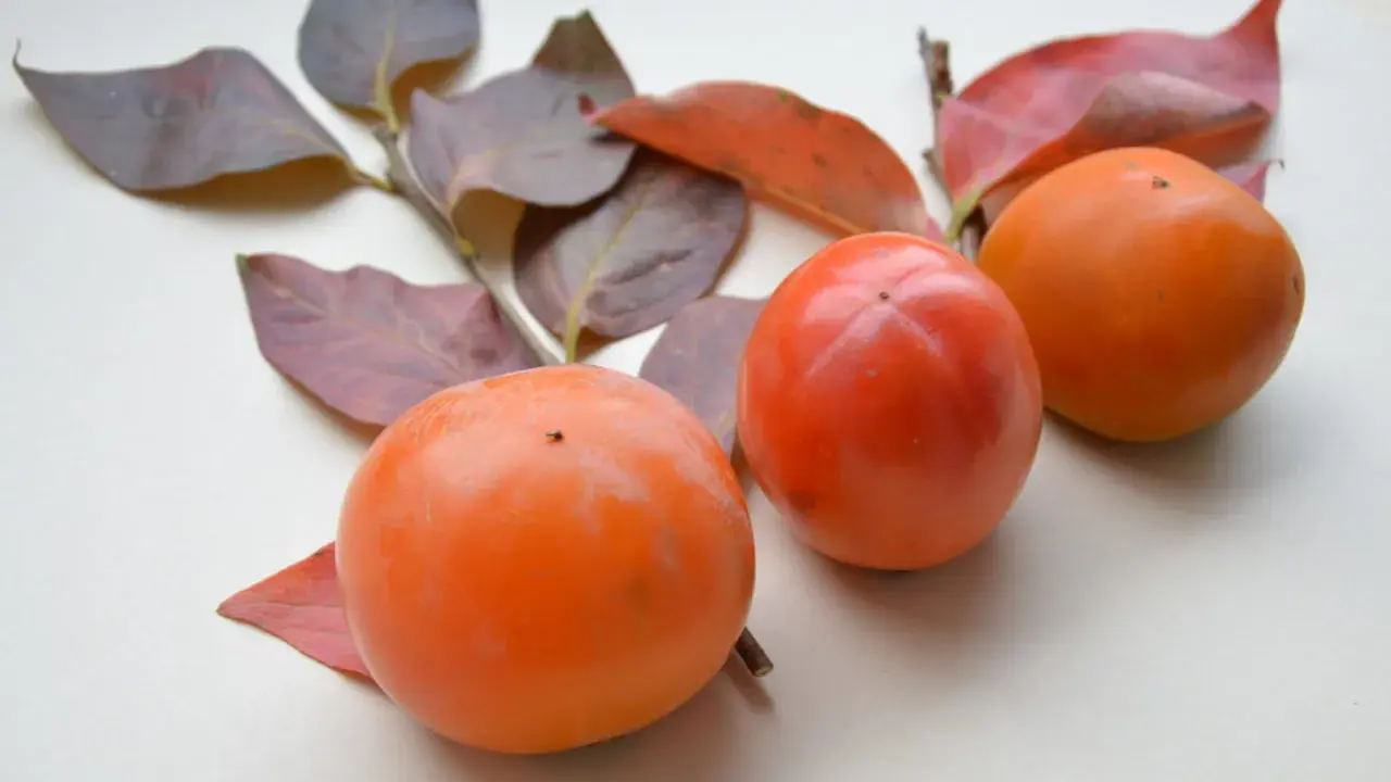 Drei leuchtend orangefarbene Kaki-Früchte liegen neben herbstlichen Blättern.