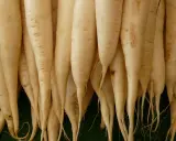 Eine Gruppe von langen, weißen daikon rettich Wurzeln liegt eng beieinander.