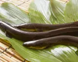 Drei dunkle, glänzende Fische liegen auf grünen Blättern. Das ist Unagi, eine japanische Delikatesse.