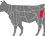 Schema einer Rinderhälfte mit hervorgehobenem Teil für Rinderrouladen. Welches Fleisch am besten für Rouladen geeignet ist, hängt von der Qualität ab.
