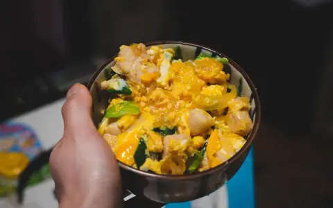 Schüssel mit Oyakodon, einem japanischen Gericht mit Huhn und Ei, perfekt für ein schnelles Oyakodon Rezept.