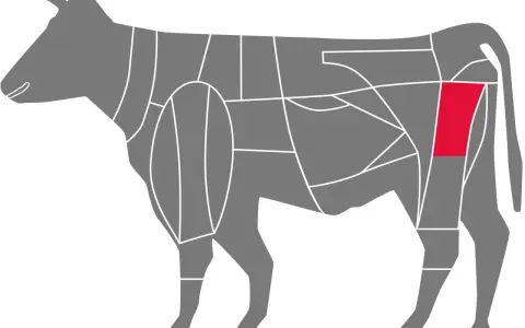 Schema einer Rinderhälfte mit hervorgehobenem Teil für Rinderrouladen. Welches Fleisch am besten für Rouladen geeignet ist, hängt von der Qualität ab.