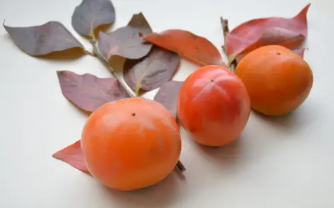 Drei leuchtend orangefarbene Kaki-Früchte liegen neben herbstlichen Blättern.