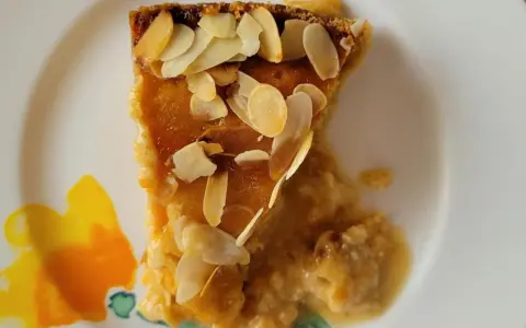Ein Stück saftiger Aprikosenkuchen mit Mandeln, garniert mit gerösteten Mandelblättchen, auf einem Teller mit Blumenmuster.