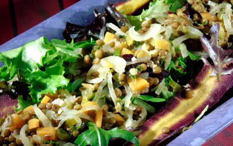 Ein bunter Linsensalat mit Staudensellerie, Karottenstreifen und frischem Salat.