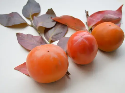 Drei leuchtend orangefarbene Kaki-Früchte liegen neben herbstlichen Blättern.
