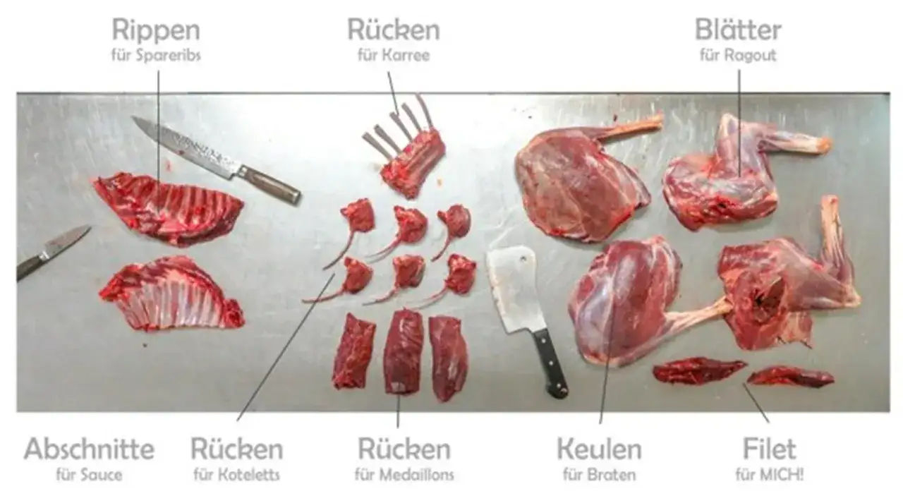 Zerlegtes Reh: Rippen f&uuml;r Spareribs, R&uuml;cken f&uuml;r Karree, Keulen f&uuml;r Braten und Bl&auml;tter f&uuml;r Ragout. Welches Fleisch eignet sich am besten f&uuml;r ein herzhaftes Rehragout? Die Bl&auml;tter!