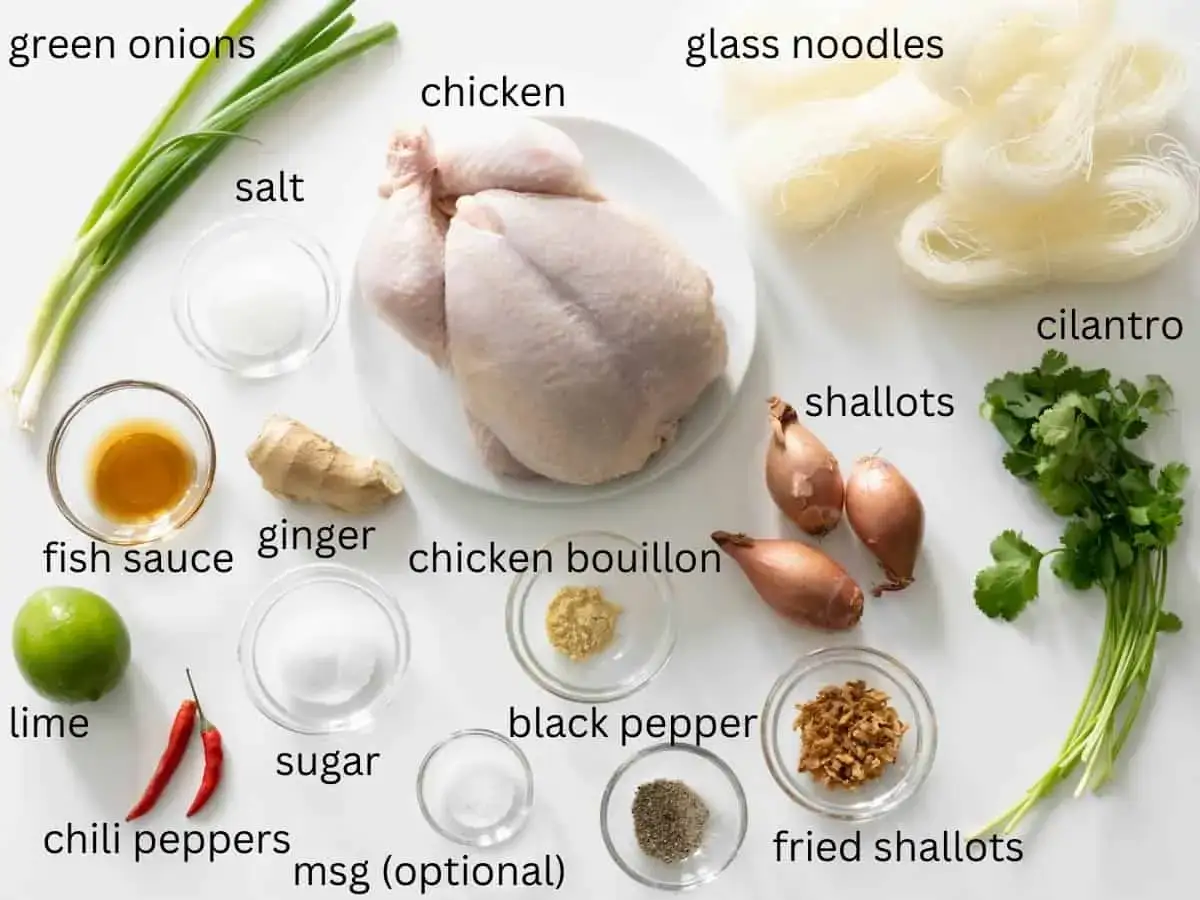 Zutaten für Pho Ga: Huhn, Glasnudeln, Frühlingszwiebeln, Koriander, Ingwer, Fischsauce, Limette, Chili, Schalotten, Salz, Zucker, Pfeffer, Hühnerbrühe, geröstete Schalotten.