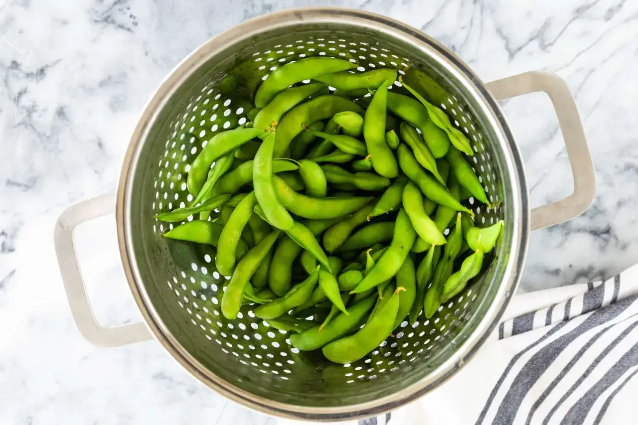Frische Edamame-Schoten in einem Sieb. So isst man Edamame: die Schoten kochen, dann die Bohnen herausdr&uuml;cken.