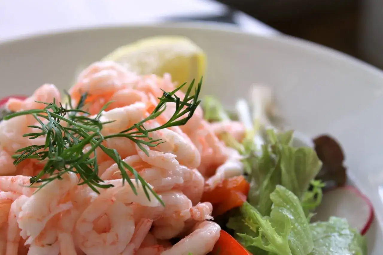 Ein Teller mit dem besten Krabbensalat, garniert mit Dill und Zitrone. Frische Garnelen auf knackigem Salatbett.